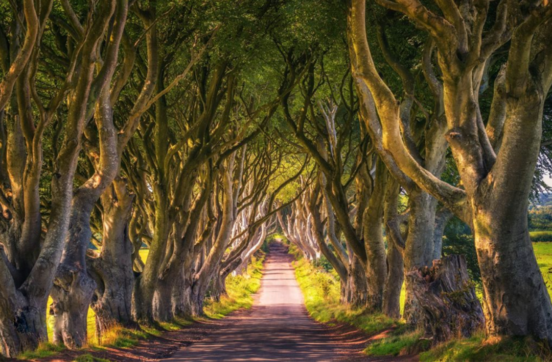 CNN评出世界最美街道,名列榜首的就在大中国