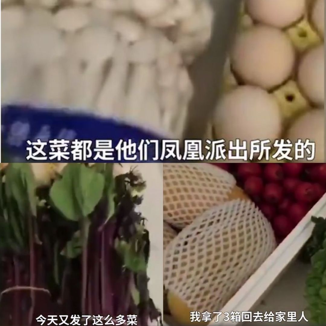 有人数着菜叶做饭 有人私分捐赠物资 菜烂仓库