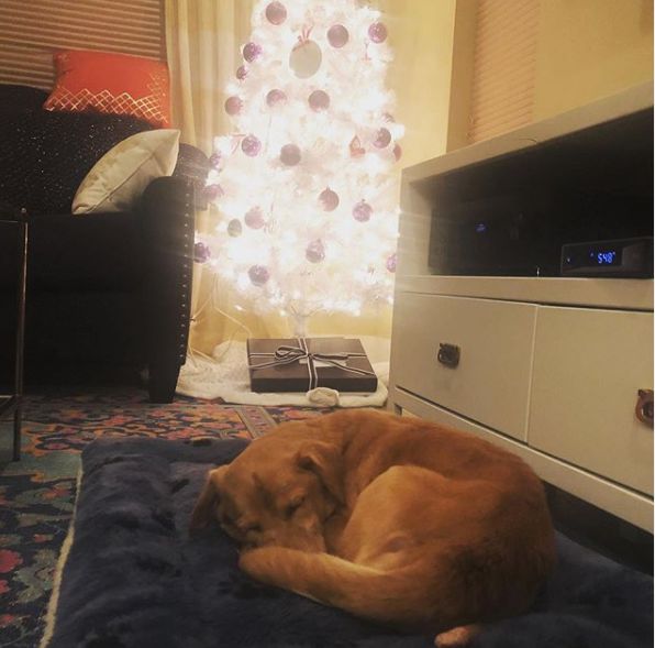 那天夜里，她闯进了陌生人的家……