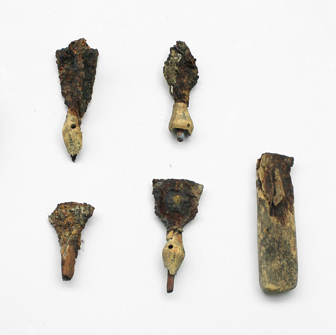 鲜卑人，从哪里来？ |　地球知识局