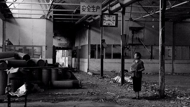 不能面对这样的生活,是我们一整代人的懦弱