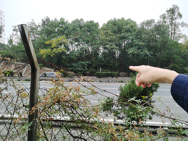 暴富与死亡:老人买彩票中奖千万后死于荒野