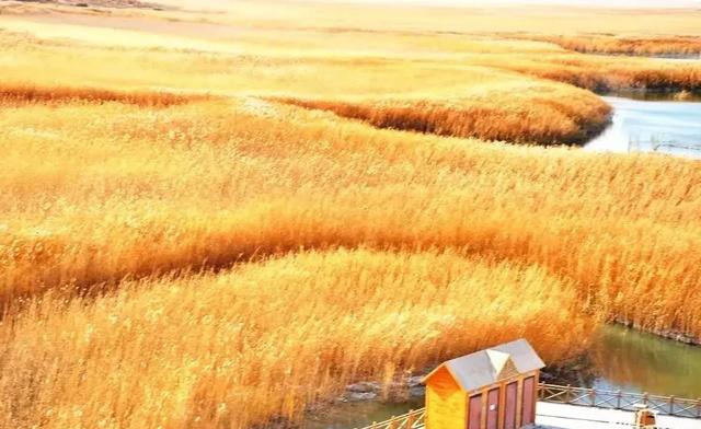 如果可以，一定要去新疆走一走，体会它的千种风情，万种风光（最新发布）