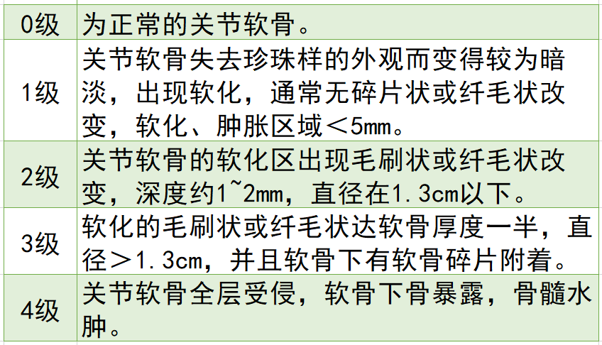 关节镜下髌骨软化症的分级