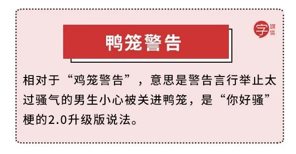 浙江10万只鸭子上热搜后，炸出一大批中国鸭迷