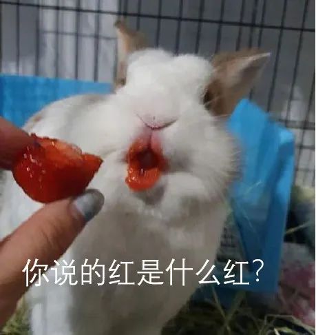 为何直女聊天能逼疯猛男，惹怒淑女