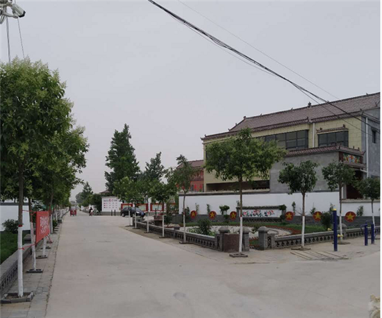正文 近几年,太康县马头镇掀起乡村振兴村建设热潮,建设美丽乡村成了