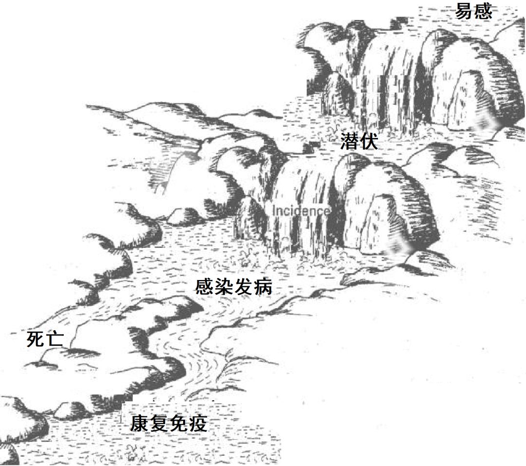 疫情趋势是怎样预测的｜大象公会