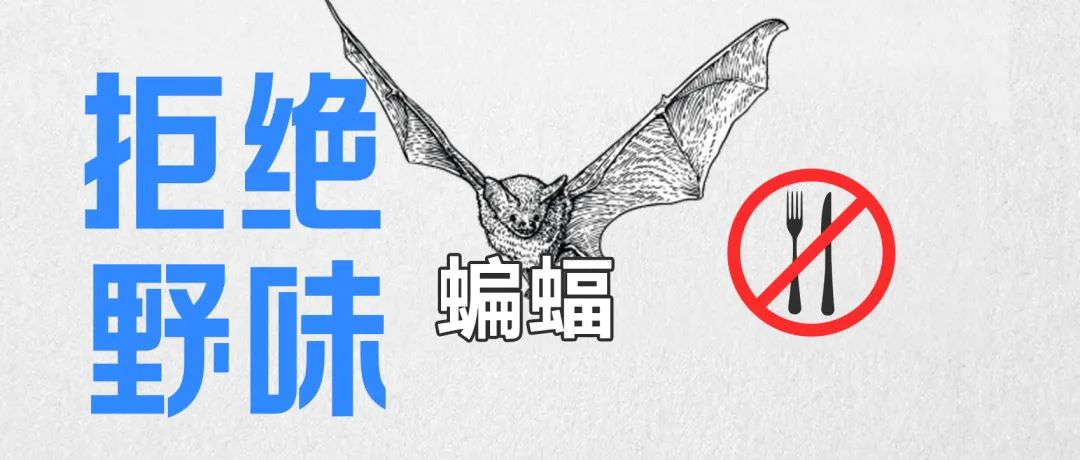 全网最热搜的7种“野味”，请别再祸害它们了