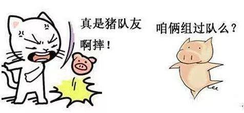 最简单的表达,stupid表达笨,蠢的意思.