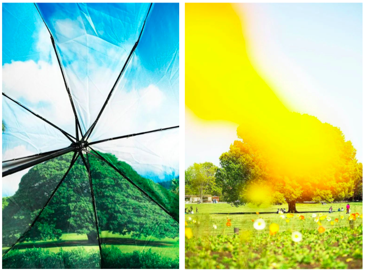 6位摄影师带你窥见6种不一样的日本