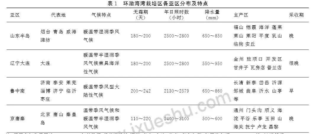 我能抵抗一切，除了六月的樱桃