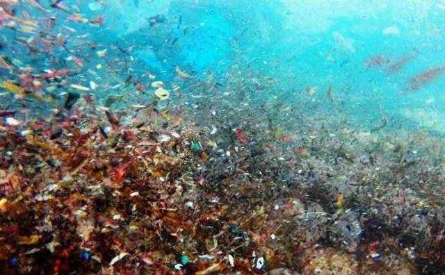 99%的海洋塑料垃圾都去哪了?原来海底有个垃圾场