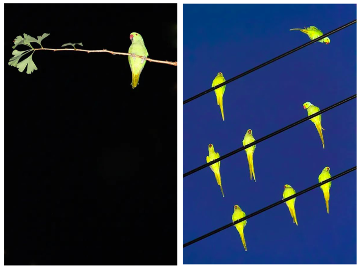 6位摄影师带你窥见6种不一样的日本