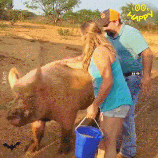 320_320gif 动态图 动图