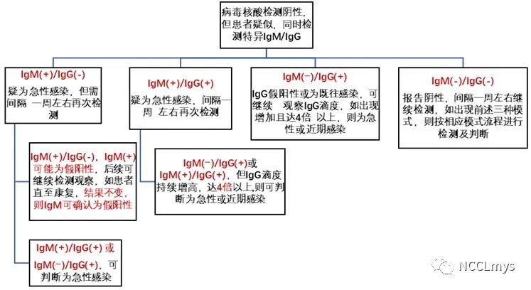 新冠病毒抗体检测为什么会有假阳性?