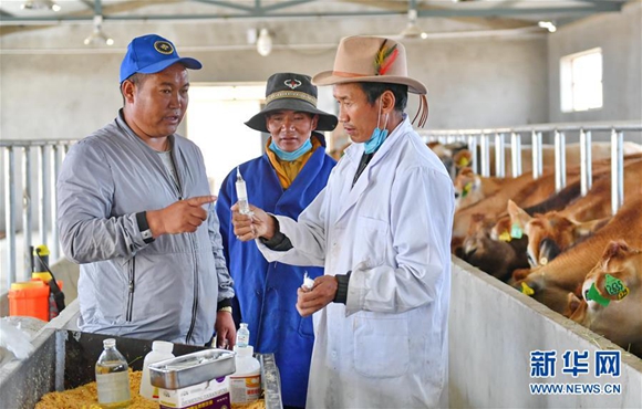 有人不信西藏全区脱贫，说说我在当地扶贫的故事