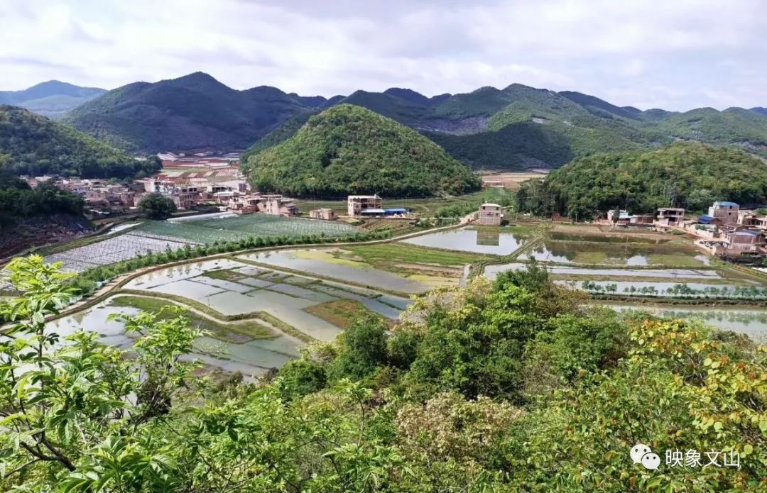 田坝心,板桥 风光旖旎的小村庄