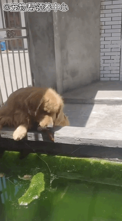 397_718竖版 竖屏gif 动态图 动图