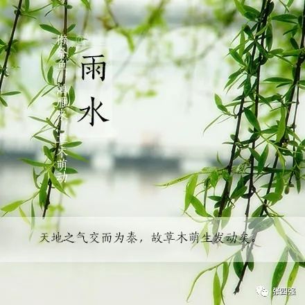 雨水:春雨一滴贵如油,一年命运在枝头!