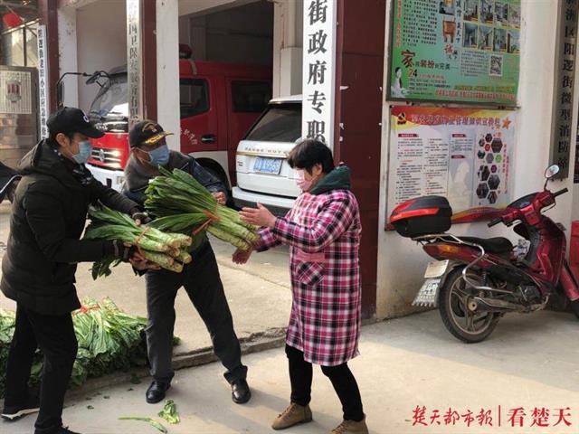 24日晚9时,满载1万余斤莴苣的卡车从东西湖运到阳逻街新博达物业总部