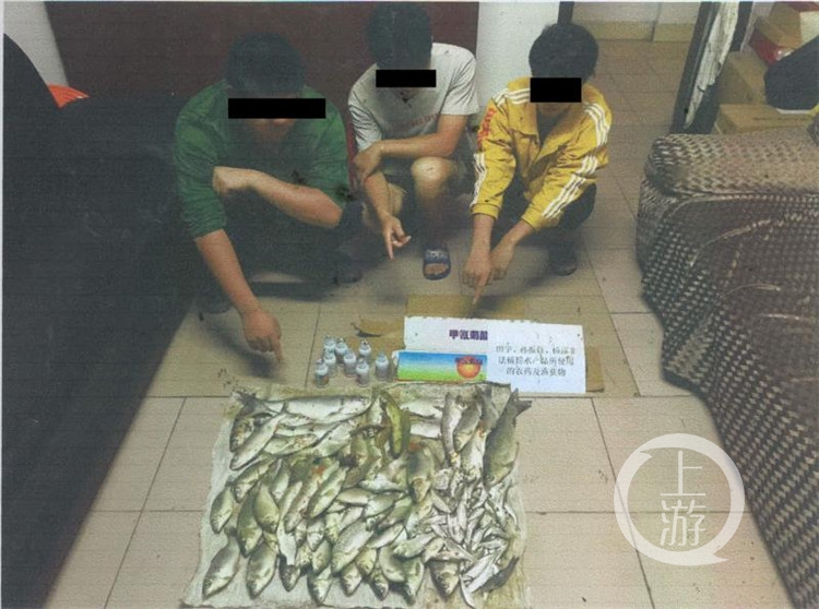 向长江投农药18瓶 3名95后毒鱼被判刑