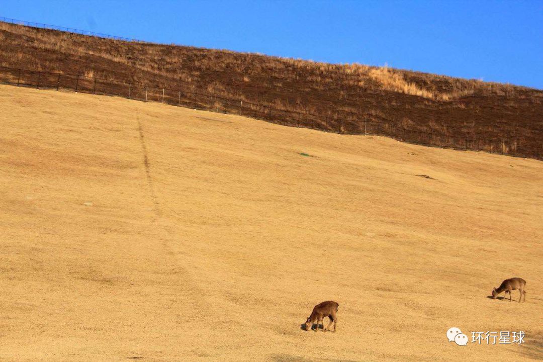 山川异域，风月同天 日本朋友眼中的中国与日本