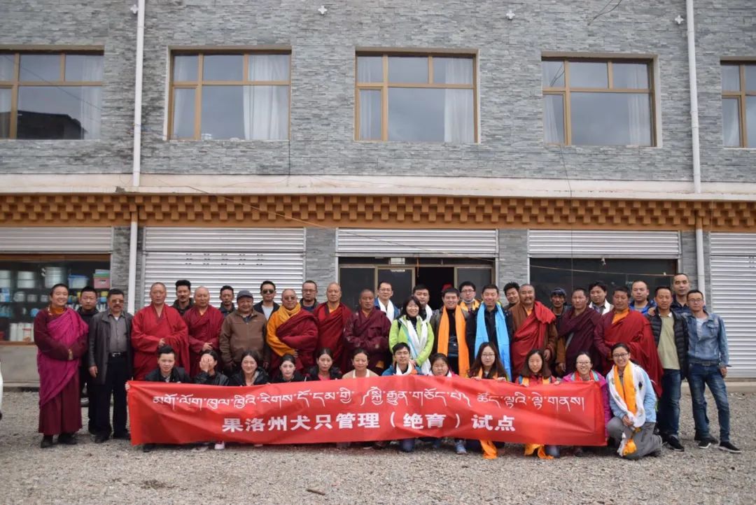 藏獒经济后遗症：当流浪狗多到开始伤人该怎么办