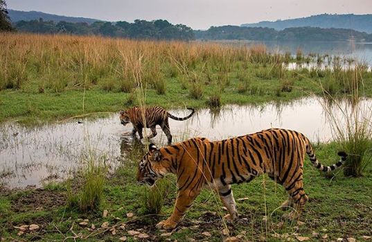 印度夫妻买下140000㎡荒地，倾家荡产就为了活命