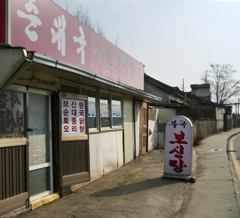 朝鲜狗肉风俗 | 地球知识局