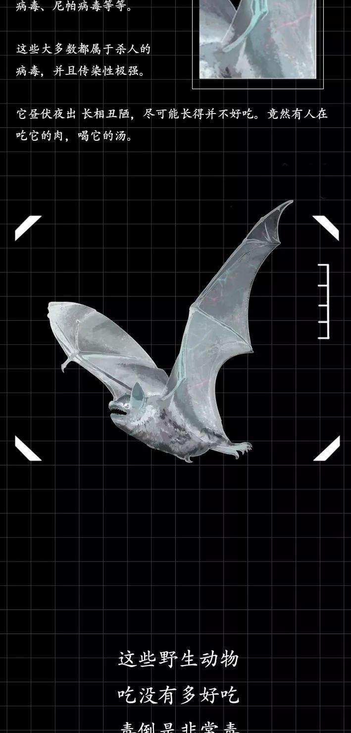 隐藏的「病毒携带者」曝光（赶紧举报）