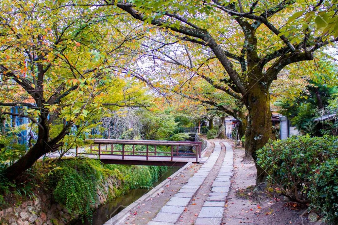 CNN评出世界最美街道，名列榜首的就在大中国