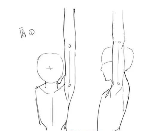 在掌握肩膀的动作后,可以画出各种各样的手臂. 抬手的情况