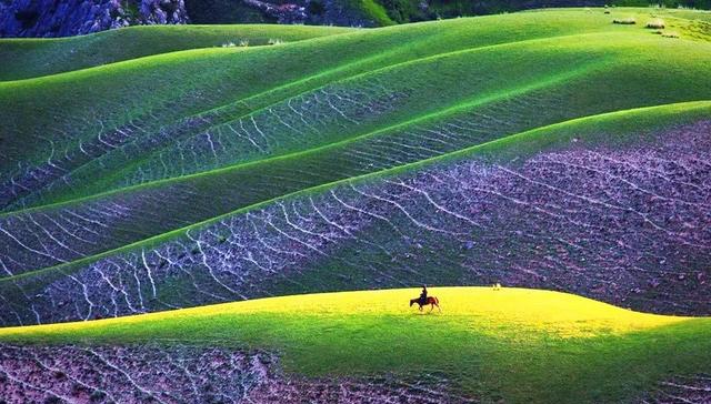如果可以，一定要去新疆走一走，体会它的千种风情，万种风光（最新发布）