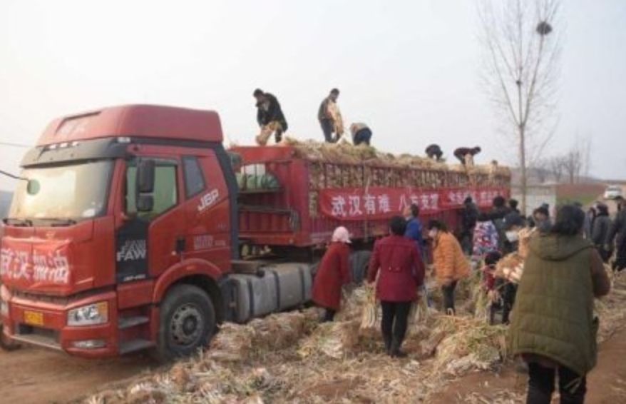 疫情之下，15个普通人的故事