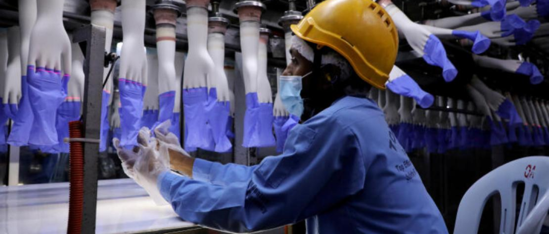 Top Glove是全球最大的橡胶手套工厂，位于马来西亚