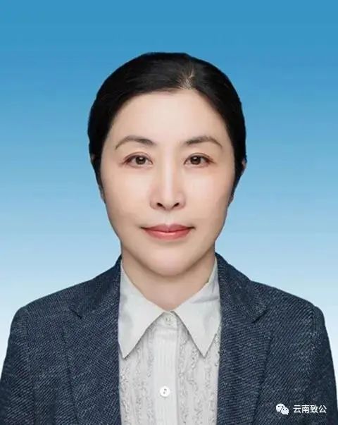 杨洋当选致公党云南省第七届委员会主任委员