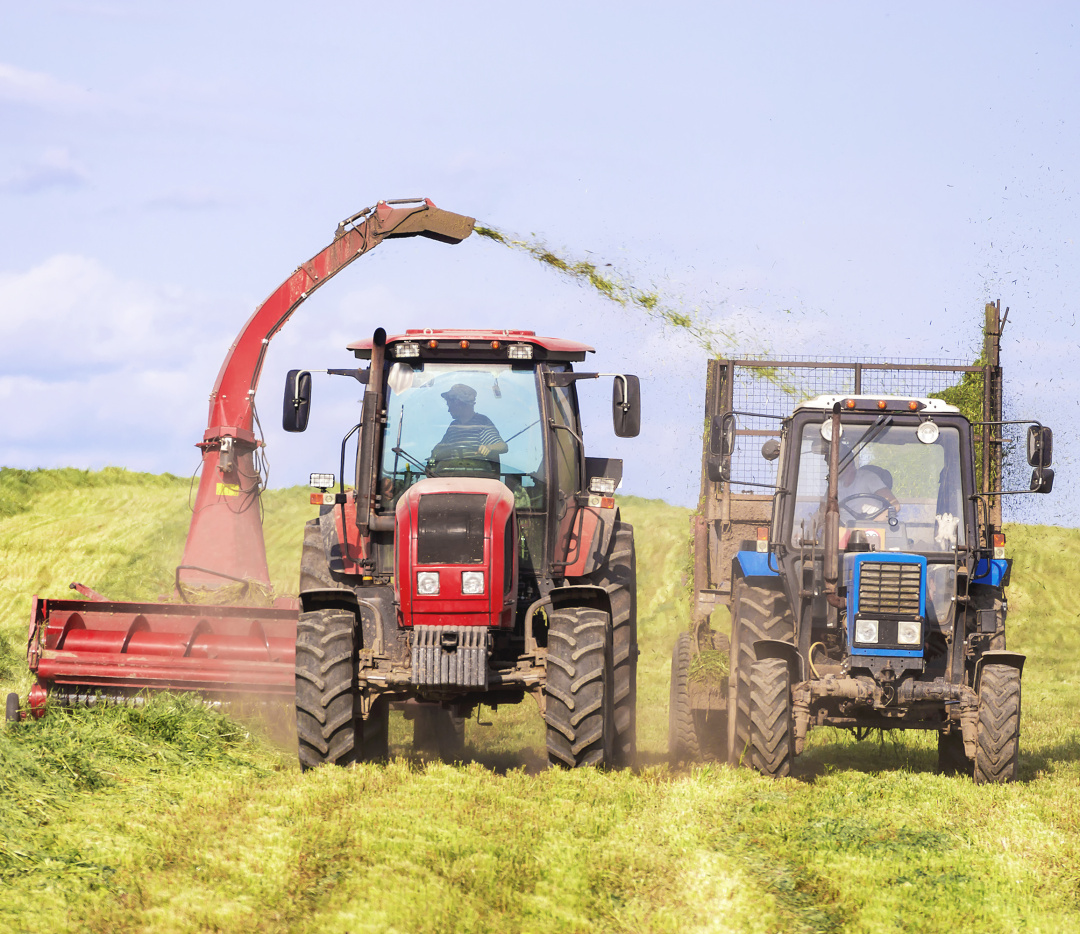 农村烧秸秆为何屡禁不止？ |　地球知识局