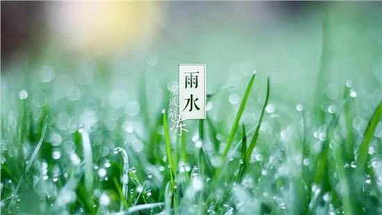 农村俗语:"雨水落雨三大碗,大河小河都要满",雨水下雨