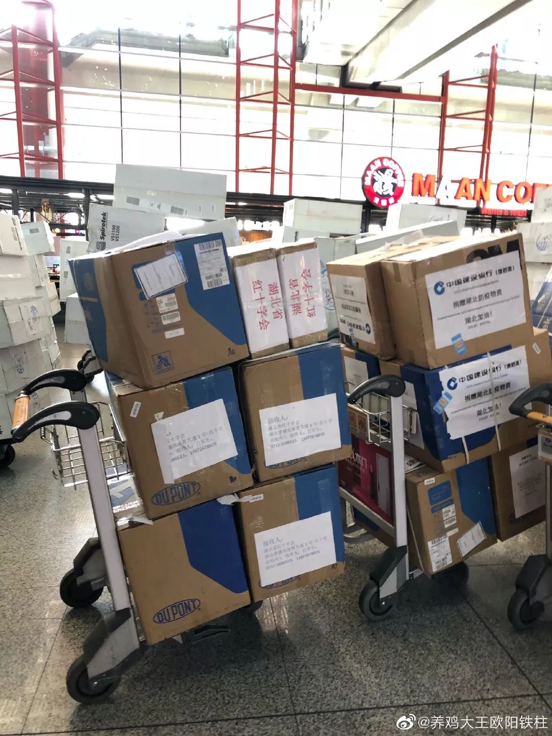 骂完武汉红会之后，问题该如何解决？军事建议