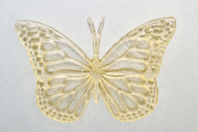 麦当劳废油3d打印蝴蝶