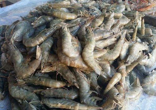 “家里蹲”期间实用囤肉指南