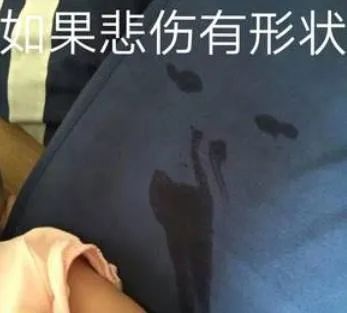 恶搞香菜徒手推楼海里熨衣有人能管管这帮野老外吗