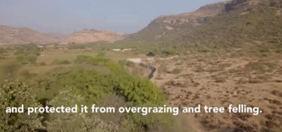 印度夫妻买下140000㎡荒地，倾家荡产就为了活命