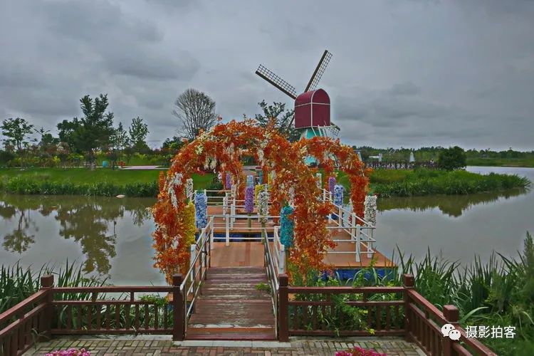 让花海告诉世界——大丰荷兰花海