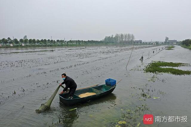 湖北潜江市委书记直播带货潜江龙虾:一朝遇见,终生眷恋