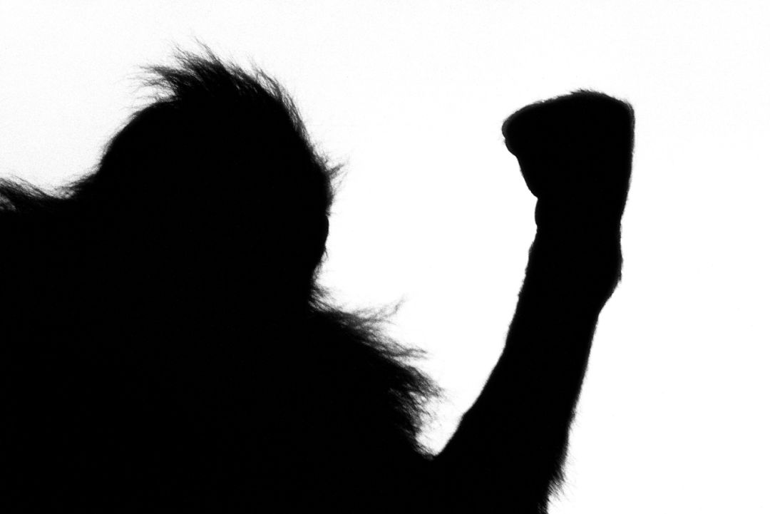 那些因人类的迷信娱乐贪婪，给野生动物带来的苦难