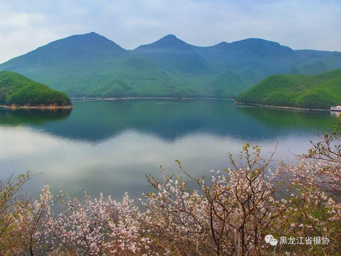 五月的鲜花，开遍龙江大地