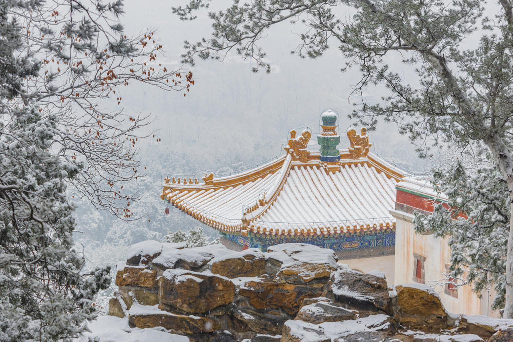 颐和园雪景(5)