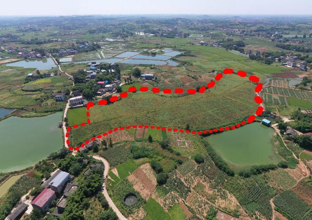 成都市金堂隆盛镇1000亩旱地出租,赵家镇高速出入口45